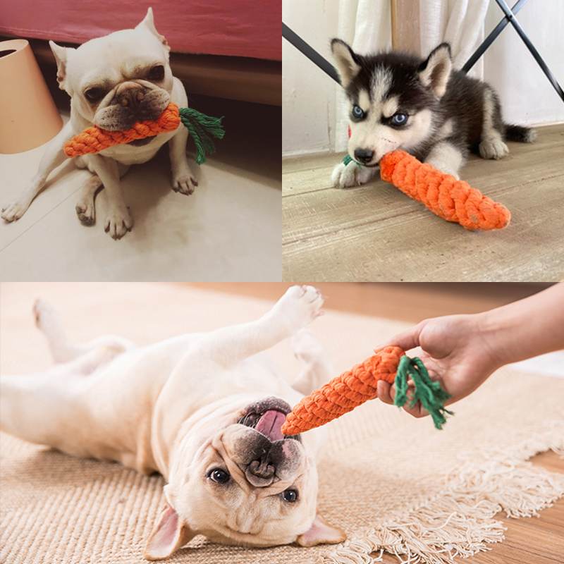 Carrot dog bite toy