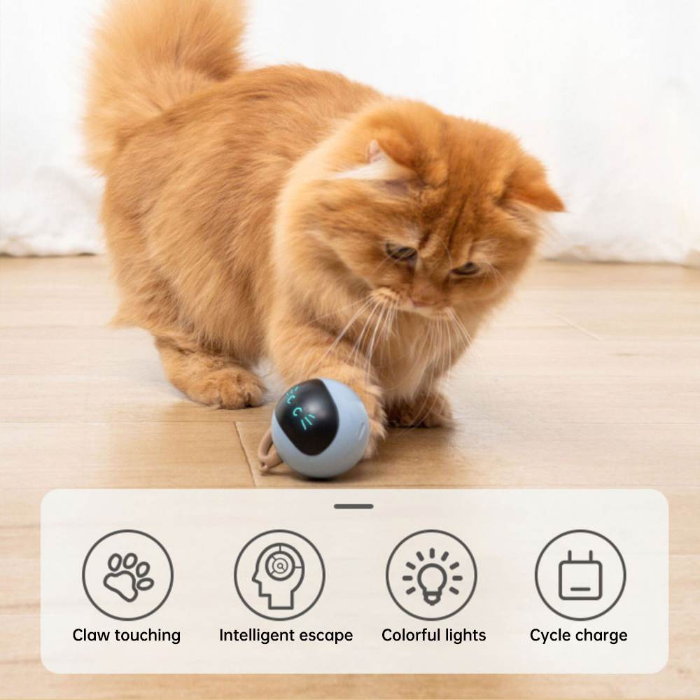 Smart Interactive Cat Toys