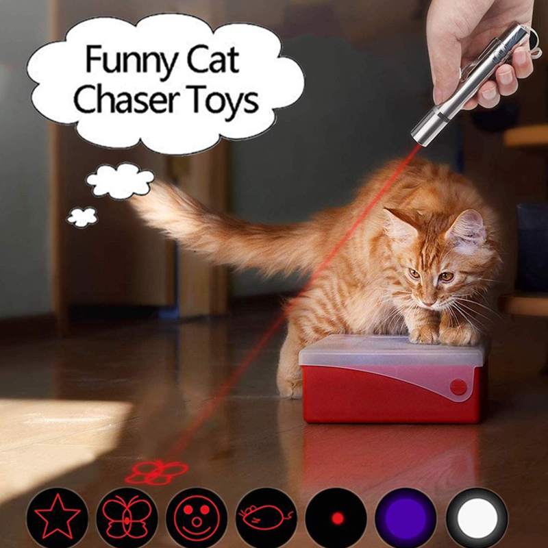 Cat chase toys