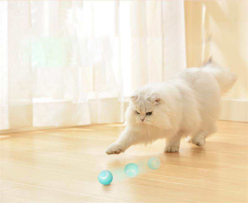 Electric Cat Toys