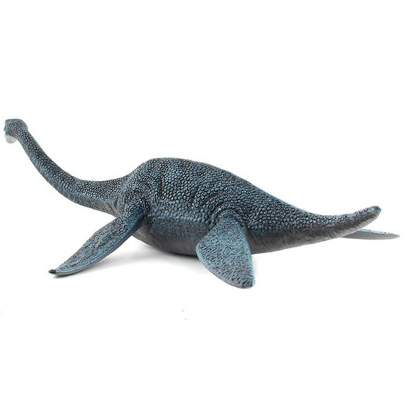 Plesiosaurus Toys