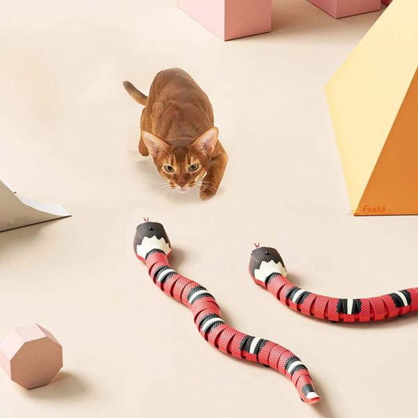 Simulation Snakes For Cats
